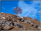 foto Salita dal Monte Tomba a Cima Grappa